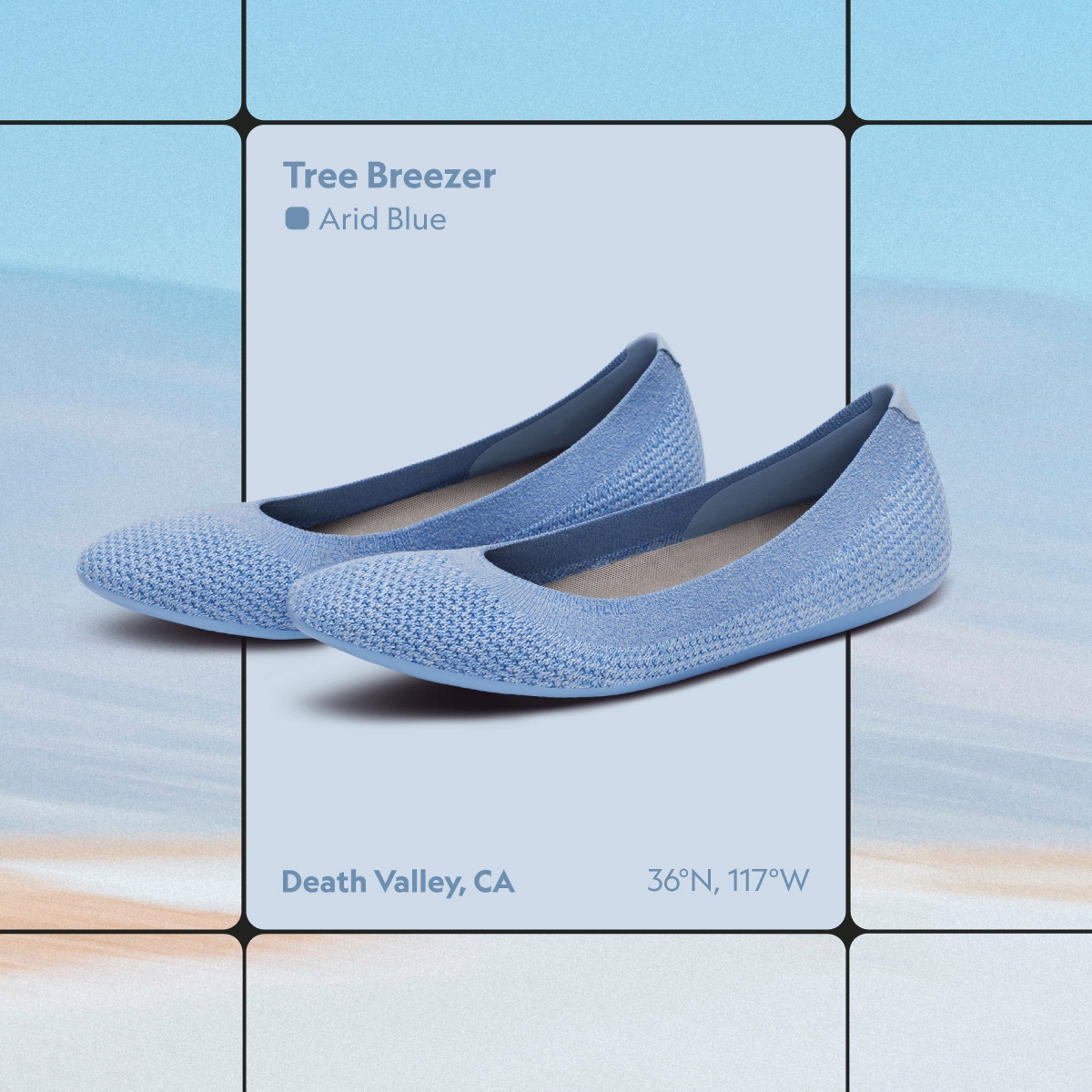 Allbirds Tree Breezer