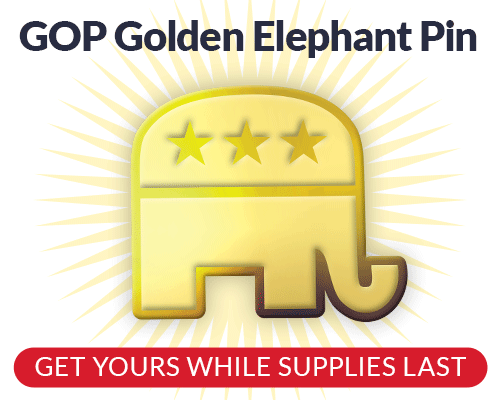 GET YOURS WHILE SUPPLIES LAST