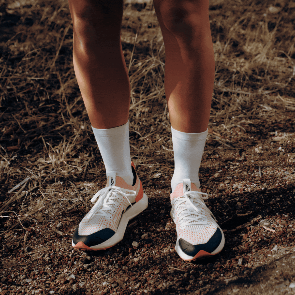 Allbirds Tree Flyers 2