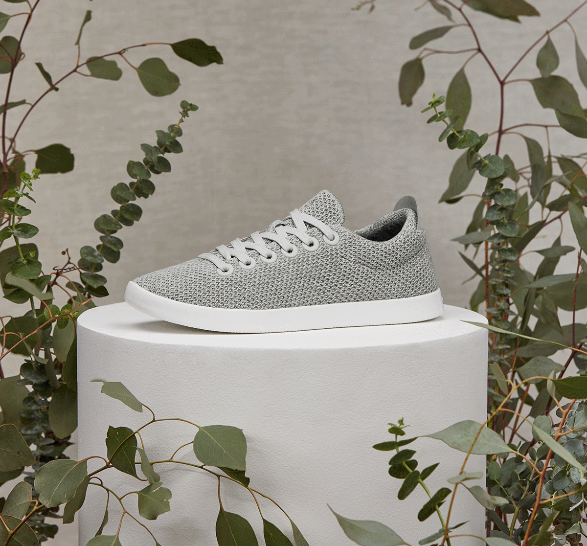 Allbirds