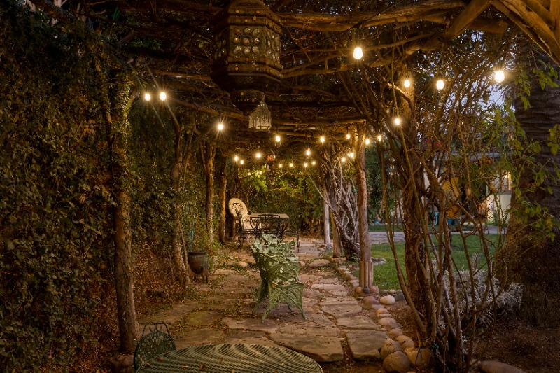 Juniper Interior