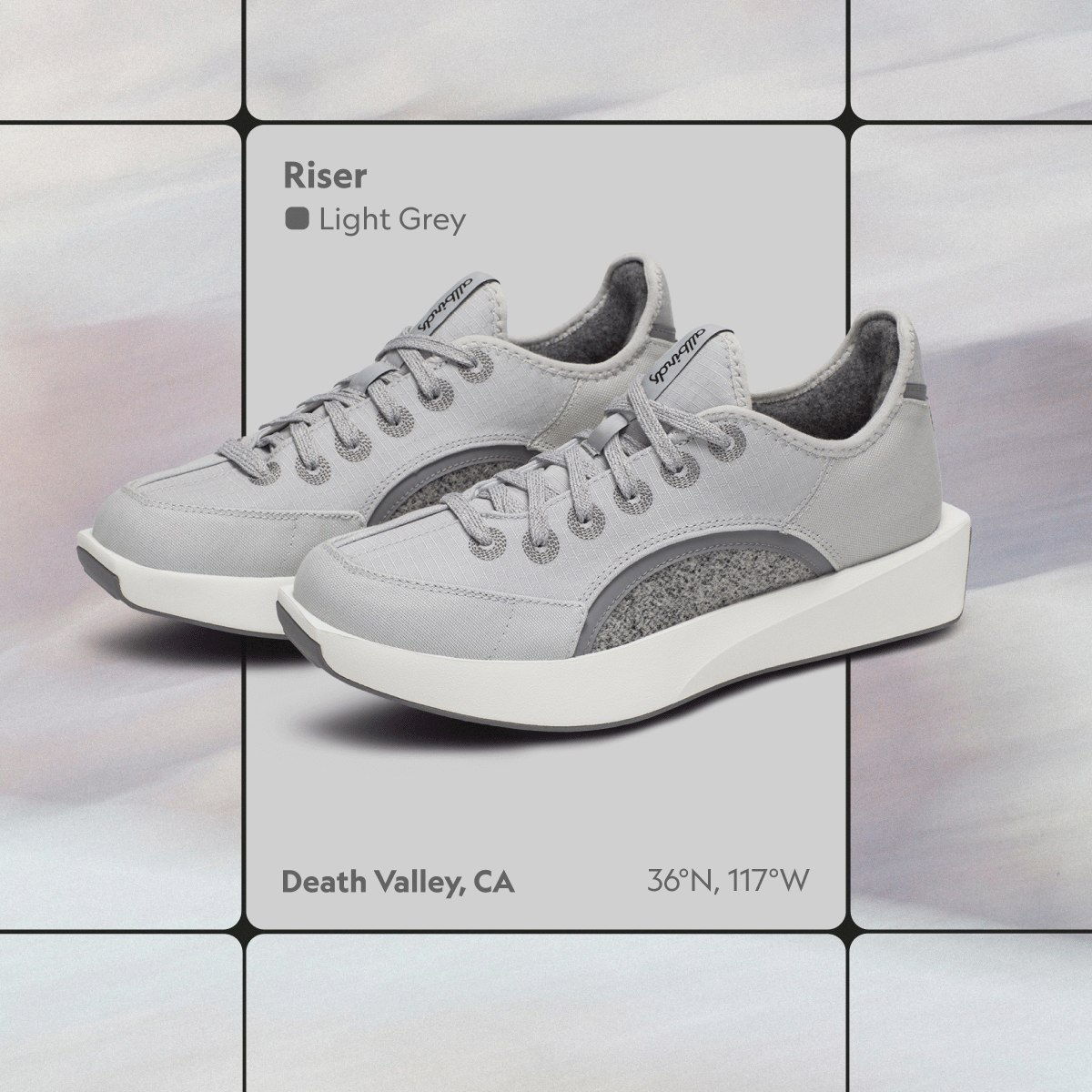 Allbirds Risers