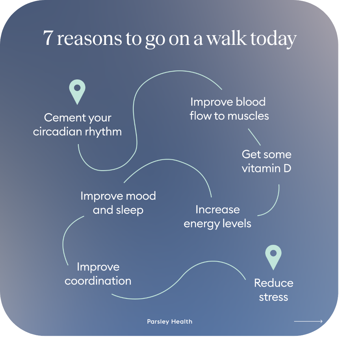 Think it’s a food allergy? It could be histamine intolerance. Parsley Health