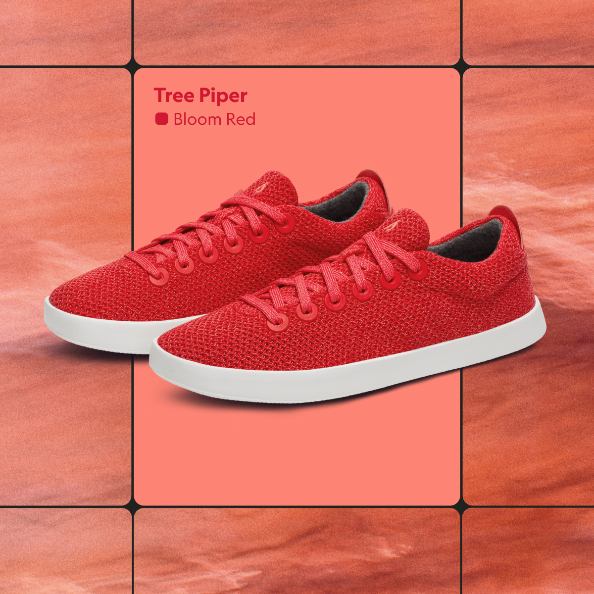 Allbirds