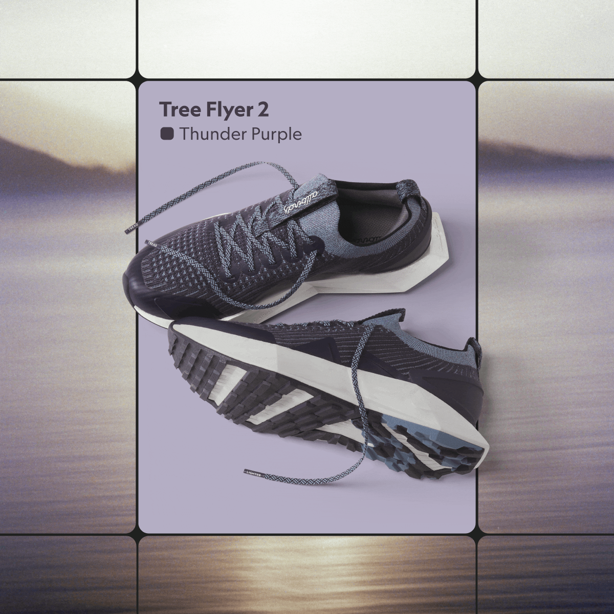 Color Us Excited Allbirds